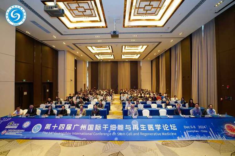 间充质干细胞:再生医学的未来探索